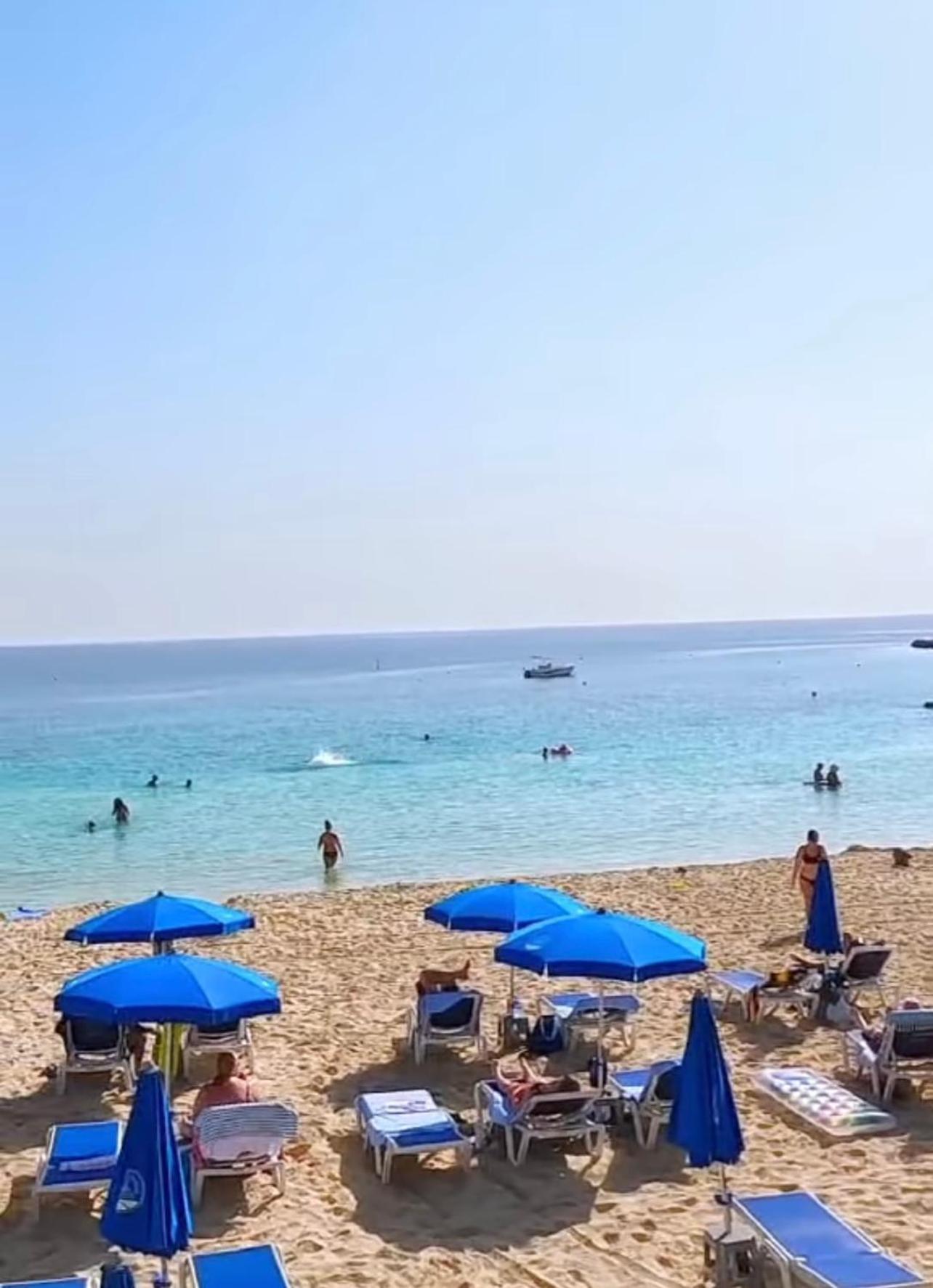 Nissi Elena -Sunshine Apt Ajía Nápa Kültér fotó